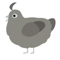 A ash and grey chicken