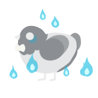 A sable and grey chicken with a head pattern