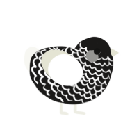 A sable and white chicken with a lace pattern