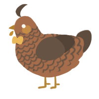 A brown and bark chicken with a lace pattern