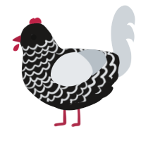 A sable and mist chicken with a lace pattern