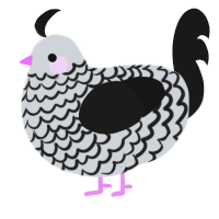 A mist and sable chicken with a lace pattern