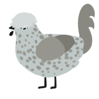 A silver and ash chicken with a speckle pattern