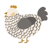 A cream and grey chicken with a lace pattern