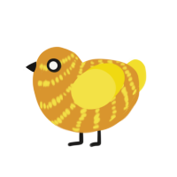 A orange and yellow chicken with a bar pattern