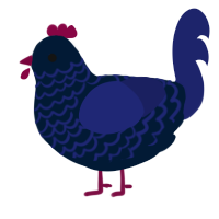 Midnight, a tumblr and navy chicken with a lace pattern