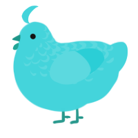 A aqua chicken with a half-lace pattern