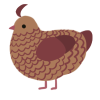 sunburnt turd, a red and maroon chicken with a lace pattern