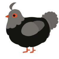 A black and grey chicken with a head pattern