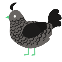 A grey and sable chicken with a lace pattern