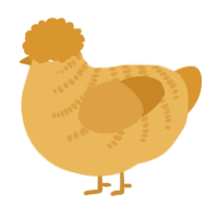 A honey and orange chicken with a half-bar pattern