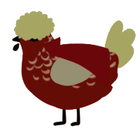A red and white chicken with a half-lace pattern