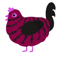 A maroon and sable chicken with a bar pattern