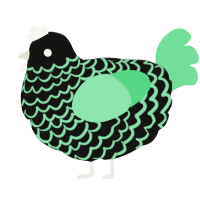 A black and spring chicken with a lace pattern