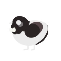 A black and silver chicken with a head pattern