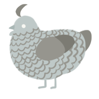 A silver and ash chicken with a lace pattern