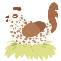 A white and brown chicken with a speckle pattern