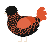 A black and vermilion chicken with a lace pattern