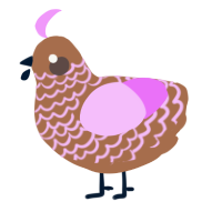 A brown and lavender chicken with a lace pattern