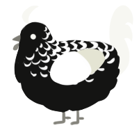 A black and white chicken with a half-lace pattern