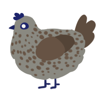 A ash and bark chicken with a speckle pattern
