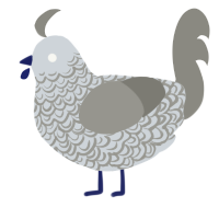 A mist and ash chicken with a double-lace pattern