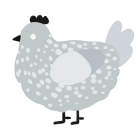A silver and mist chicken with a speckle pattern