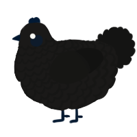 A sable and black chicken with a lace pattern