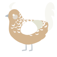 A beige and white chicken with a half-lace pattern