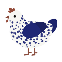 A white and navy chicken with a speckle pattern