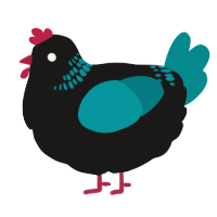 A sable and teal chicken with a neck-band pattern