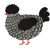 A ash and sable chicken with a lace pattern