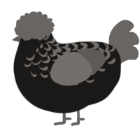 A sable and grey chicken with a half-lace pattern