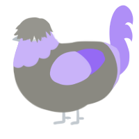 Herberth, a ash and lilac chicken with a head pattern