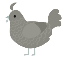 A ash chicken with a lace pattern
