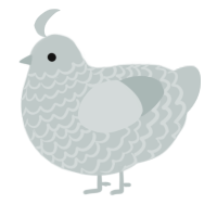 A silver chicken with a lace pattern