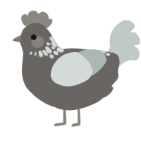 A grey and silver chicken with a neck-speckle pattern
