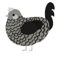 Granite, a ash and sable chicken with a lace pattern