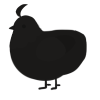 A sable chicken with a head pattern