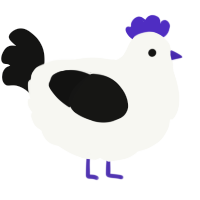 A white and black chicken