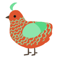 A vermilion and spring chicken with a lace pattern