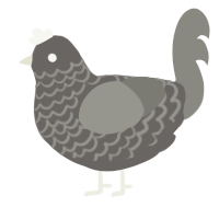 A grey and ash chicken with a lace pattern