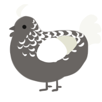 A grey and white chicken with a half-lace pattern