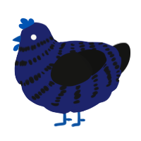 A navy and black chicken with a bar pattern