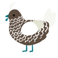 A bark and white chicken with a lace pattern