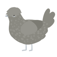 A ash chicken with a speckle pattern