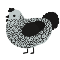 A silver and sable chicken with a double-lace pattern