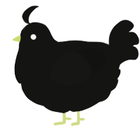 A black chicken