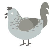 A silver and ash chicken with a half-lace pattern