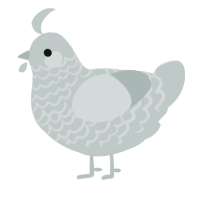 A silver chicken with a lace pattern